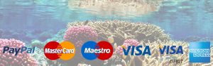 donate banner