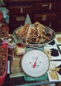 dried seahorses on scale