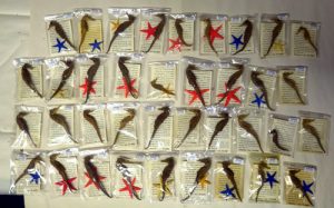 packaged seahorses