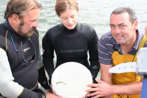 seahorse researchers