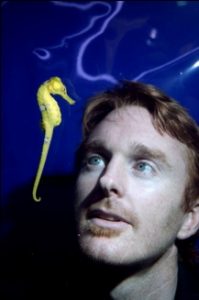 kealan doyle seahorse