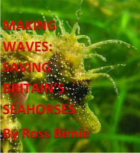 saving seahorse logo