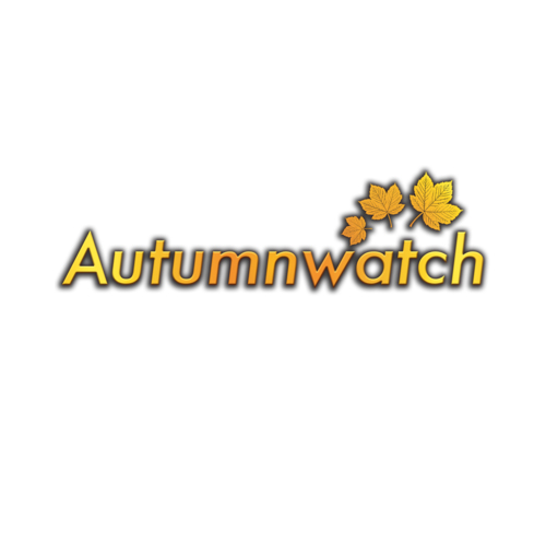 autumn watch