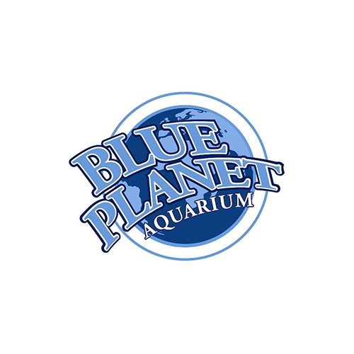blue planet aquarium