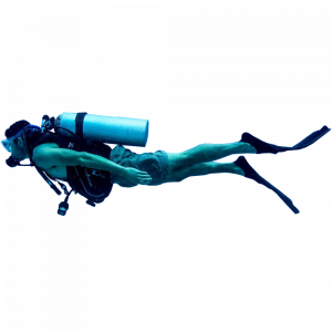 png diver