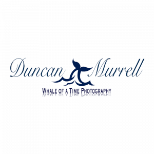 duncanmurrel logo