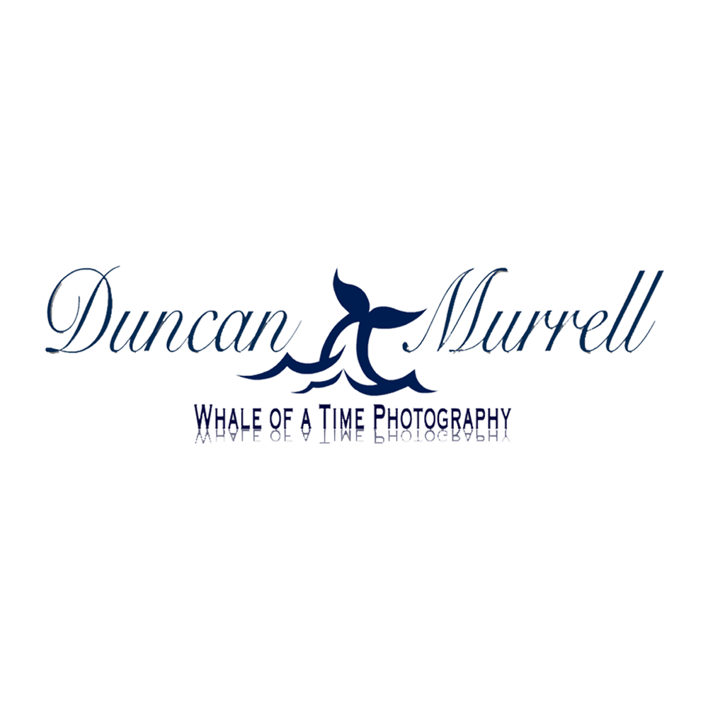 duncanmurrel logo