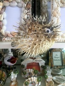 puffer fish
