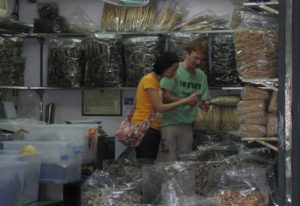 kealan doyle seahorse sale research