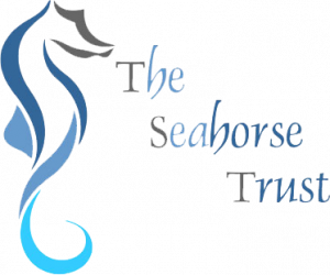 seahorse logo