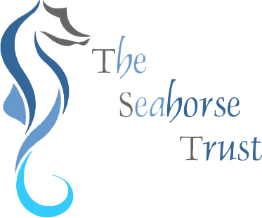 seahorse logo