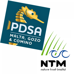 Pdsa and Ntm logo