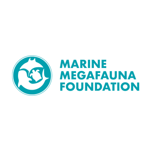 marine megafauna foundation