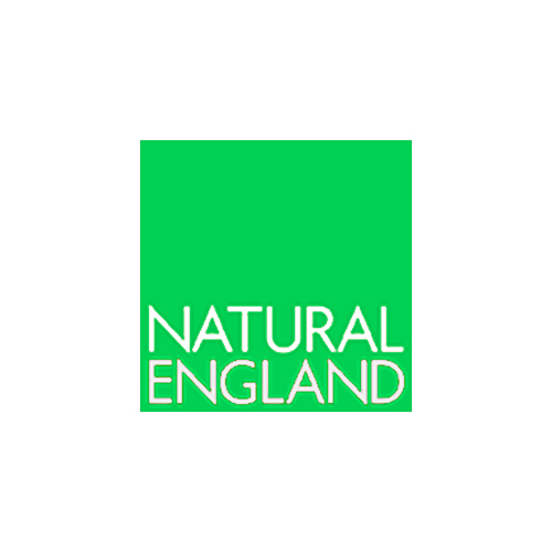 natural england Logo