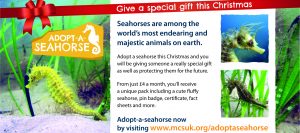 481-2015b Adopt-a-Seahorse Advert Half Page Christmas v3 cropped copy