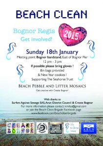 January Beach Clean_A5 web copy