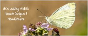 butterfly banner