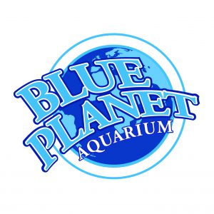 blue planet MASTER LOGO